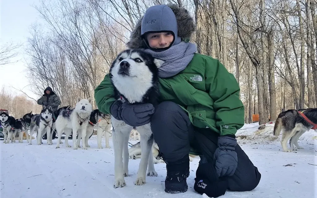 Dog sledding
